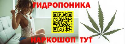 скорость Шебекино